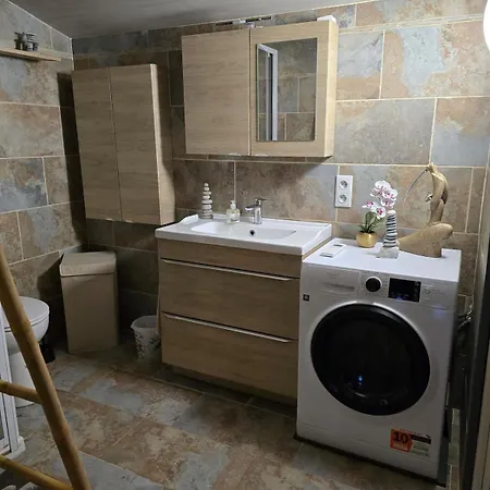 בקתה Le Meleze קולמאר